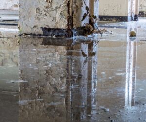 flooded basement