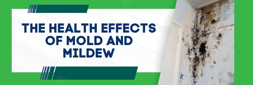 he Health Effects of Mold and Mildew