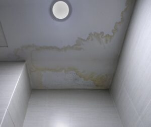 mildew on the ceiling