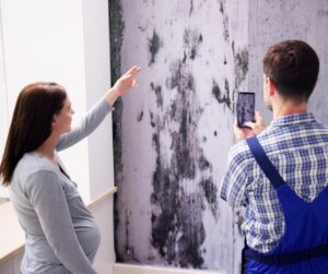 mold on the wall