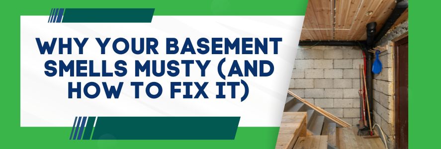 Why Your Basement Smells Musty (And How To Fix It)