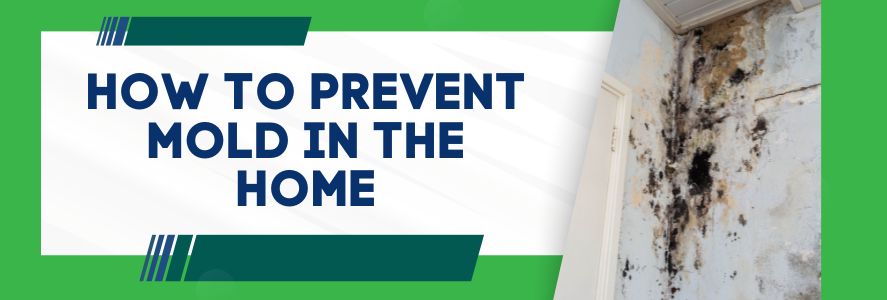 How To Prevent Mold in the Home