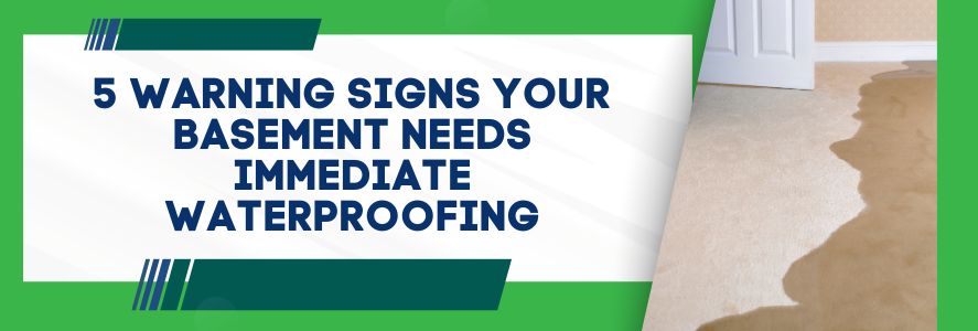 5 Warning Signs Your Basement Needs Immediate Waterproofing
