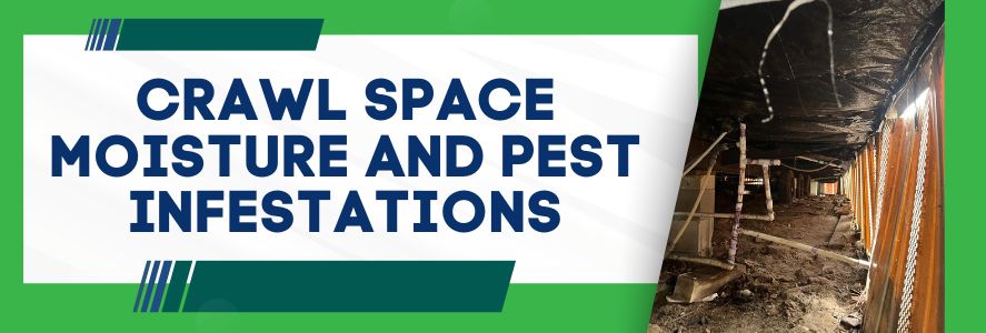 Crawl Space Moisture and Pest Infestations