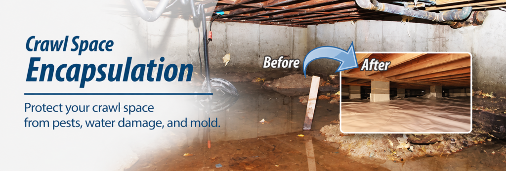 Crawl Space Encapsulation - Summit Waterproofing Solutions