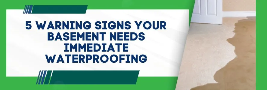 5 Warning Signs Your Basement Needs Immediate Waterproofing